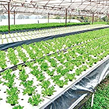 퍼포레이티드 그라운드 막, 베이퍼 배리어 영화, 온실 필름, 농업 팬더 영화, 사려깊은 마일라 영화 13