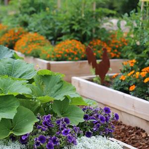 조망 직물, 잡초 방벽, 에코가든러, 에코가든러 조망 직물