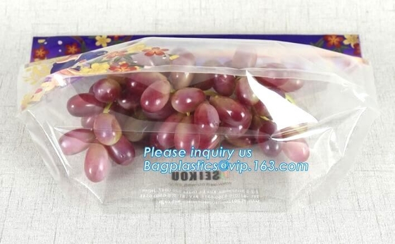 노출된 포도 팁 에어백, 노출된 퍼포레이티드 페퍼스 지퍼 백, 노출된 사과 슬라이더 백, 공기 구멍 오렌지 에어백