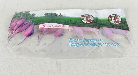 지플록식인 엠파크 앨리멘토스는 봉지를 패키징하는 봉지 망고 건조과실 건조 식품을 패키징하는 플라스틱 간식 견과류를 견딥니다