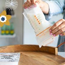 프리즈 오거나이저, 용기, 보관 시스템, 모유 수유 액세서리, BPA-Free, 이중 지퍼 잠금 장치 3