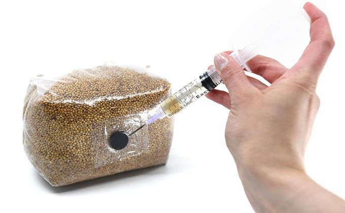 Autoclavable Mushroom Growing Bags, Mushroom Spawn Bags, Stand Up Durable Bags, 정원 용품, 통기성 2