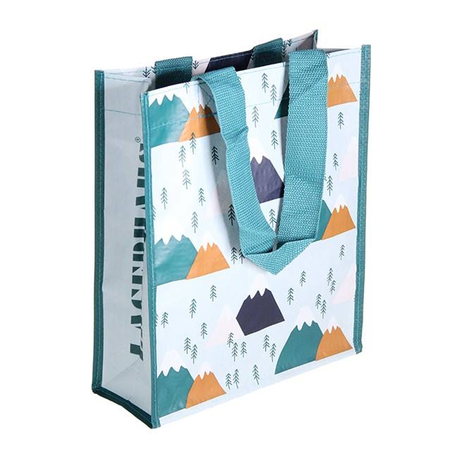 Eco 우호적이 구성 라미네이트된 핸들, 피피 우븐 여성용 대형 손가방, RPET 코팅되 폴드형이 재활용할 수 있는 쇼핑 핸디 가방 6