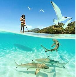 여성 지갑, 강화된 핸들과 저장 백 창시자, 여성 남성들을 위한 팁 핸들 스트랩 2